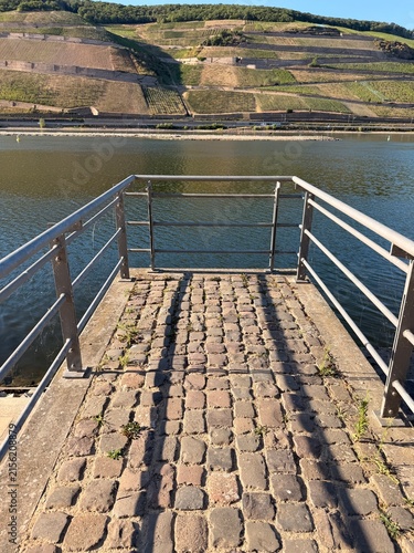 Bootssteg am Rhein mit Blick auf die Weinberge.