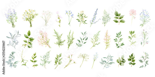 A wild array of herbaceous blossoms and foliage. A watercolor collection featuring bouquets, borders, and frames. An illustration showcasing leaves, branches, and flowers. Perfect for wedding statione