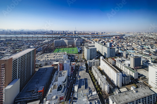 高高層ビル群と広大な住宅街が広がる関東の都市風景