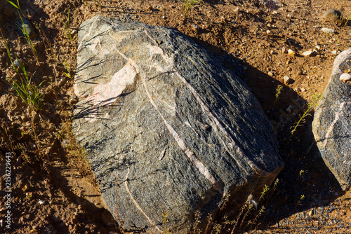 Obraz na płótnie Large migmatite erratic boulder with distinct gneissic banding texture resting in a sunny gravel pit, geological remnant left behind by an ancient retreating glacier