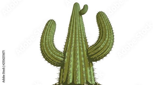 Giant Saguaro Cactus Low Angle — Sage Olive Rib Spine Texture Bold Flat Vector