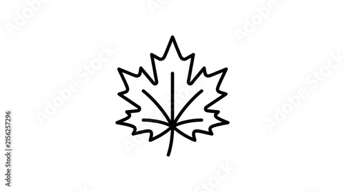 Simple maple leaf illustration
