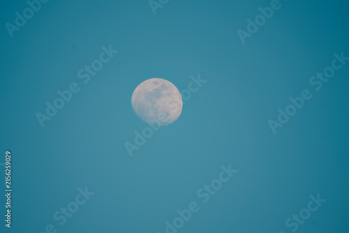 Konstfotografi Pale gibbous moon in a clear blue daytime sky with copy space