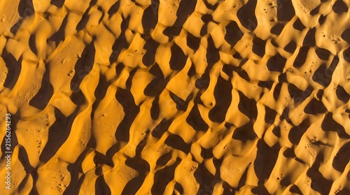 Aerial view of golden desert sand dunes in the Sahara