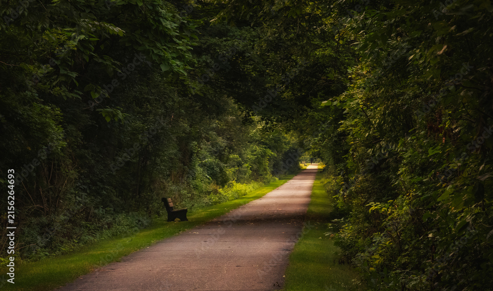Obraz premium A paved path lined with dense vegetation that form a green tunnel from side to side