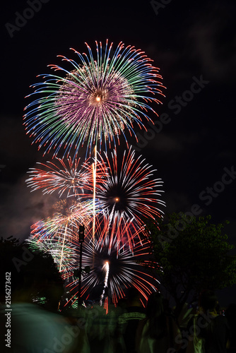 びわ湖大花火大会の夜空を彩る花火。滋賀県大津市で開催されたびわ湖大花火大会。琵琶湖の湖畔を舞台に、色鮮やかな花火が夏の夜空を彩る日本を代表する花火大会。
