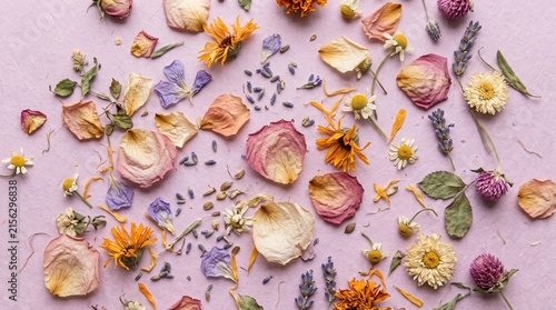 Dried flower petals scattered on soft pink background for natural decor and crafting projects