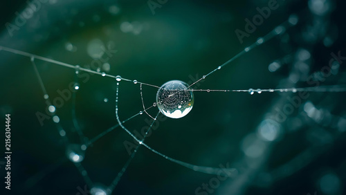 Macro shot of a dewdrop on a spiderweb with bokeh effect, reflecting light and nature, close-up detail of a water droplet on silk threads