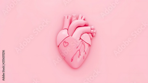 Pink Anatomical Heart Model with Subtle Texture on Soft Pastel Background, Cardiology Concept