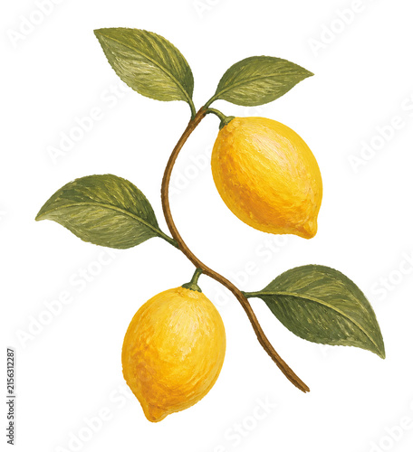 lemon with leaves