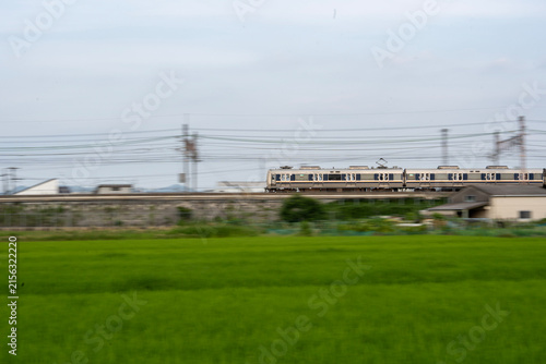 京都府の田園地帯を走るJR旅客列車。緑豊かな水田と鉄道が織りなす、日本の夏の日常風景。