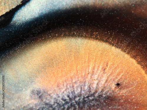 Фотография Inks, oil, water and mica powders create these cool abstract images