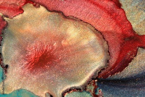 Obraz na płótnie Inks, oil, water and mica powders create these cool abstract images