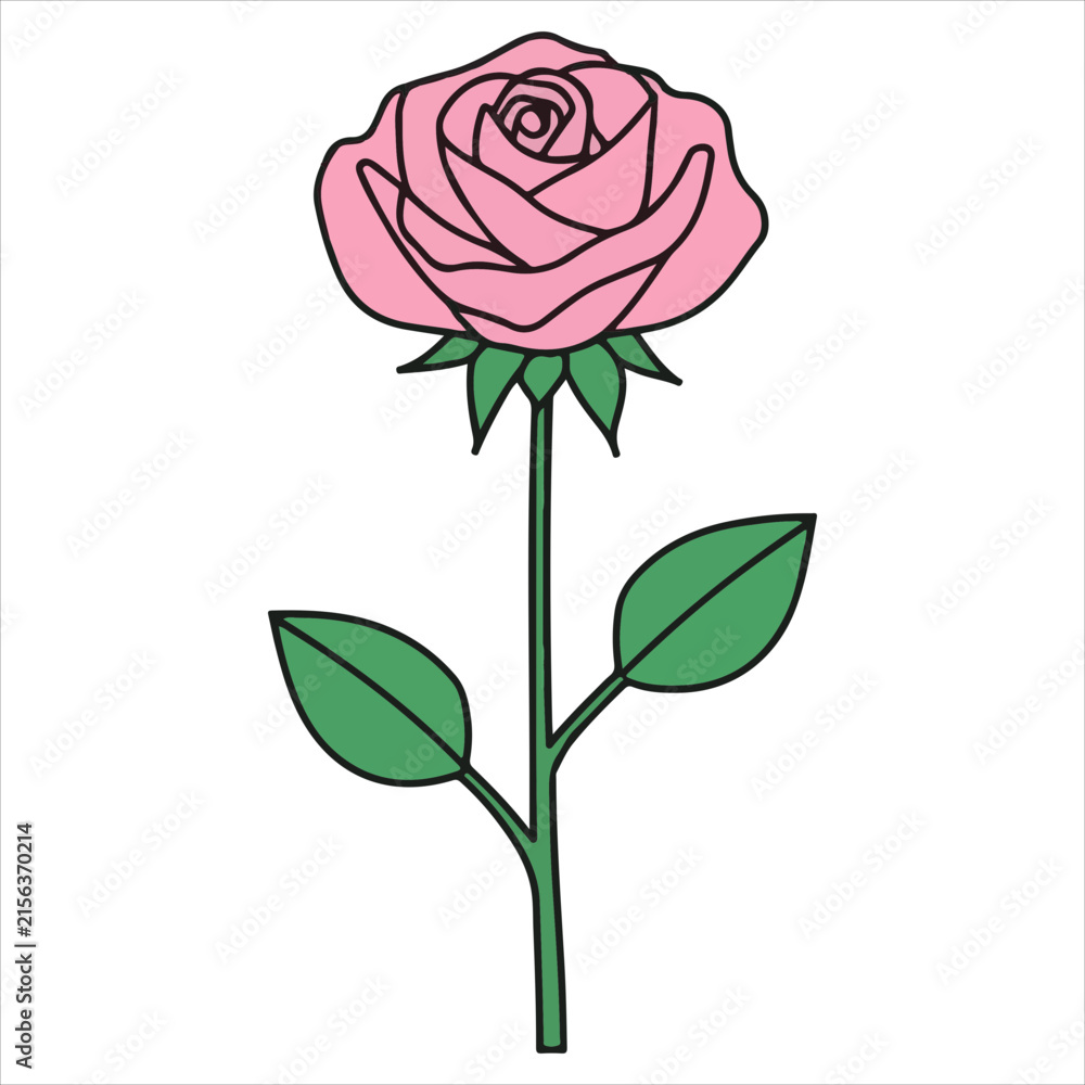 Obraz premium Pink Rose Flower Illustration Isolated on White Background