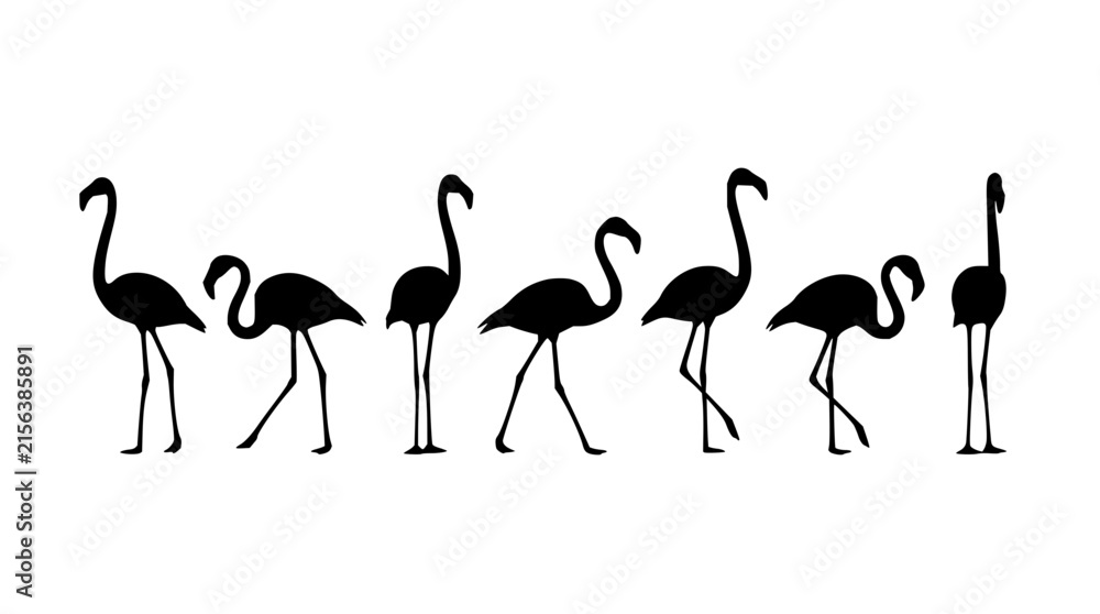 Obraz premium Flamingos set with standing line featuring pink birds, long legs, and water background with tropical vibe