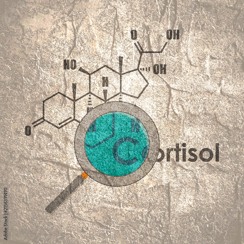 Fotografía Structural formula of human steroid cortisol hormone and magnifier
