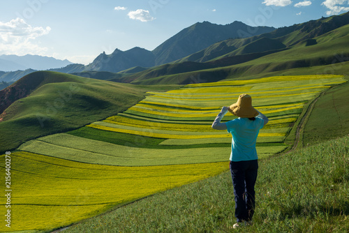Traveler Photographing Yellow Rapeseed Fields in Qilian Mountain National Park, China