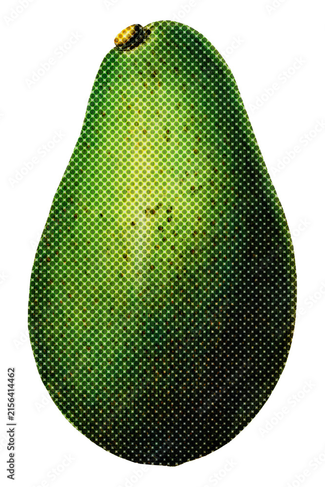 Fototapeta premium Halftone avocado sticker with a white border