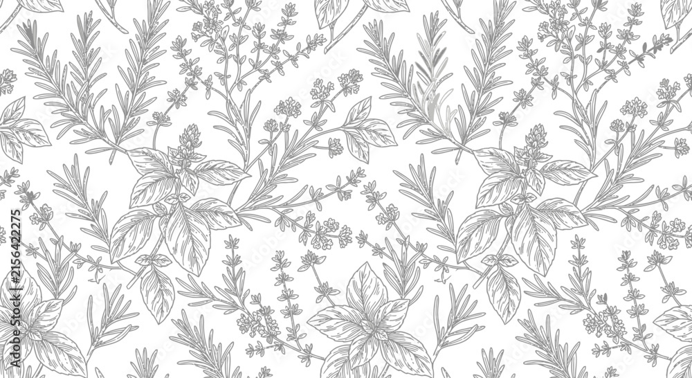 Fototapeta premium Herbal pattern on transparent background