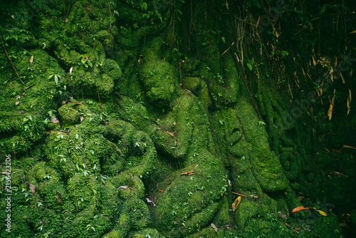 Ancient stone carving covered in vibrant green moss and tropical plants, representing the enduring power of nature and the passage of time over historical artistry in a lush jungle setting