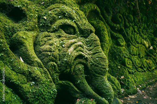 Goa Gajah elephant head carving. Shrouded in vibrant green moss and small plants. Depicts an ancient creature