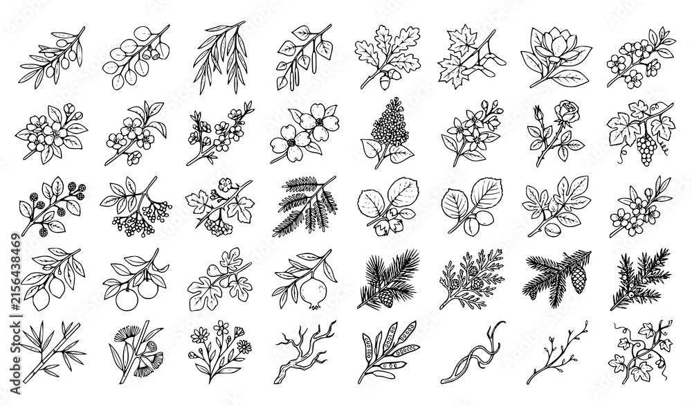 Fototapeta premium Tree branches, leaf foliage, blooming sprigs, and fruit stems line art vector icons set isolated on white background