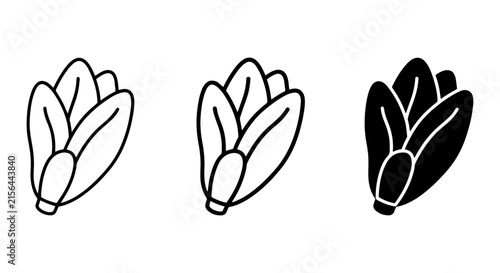 Lettuce Icon Set, Fresh Green Vegetable Vector Graphics, Healthy Food Outline and Silhouette