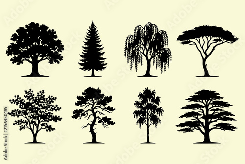 Collection of vector tree silhouettes including oak pine willow cedar and acacia species for botanical design