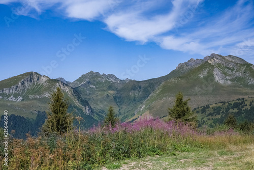 Принти на полотні Le mont Caly in Haute-Savoie, in the summer