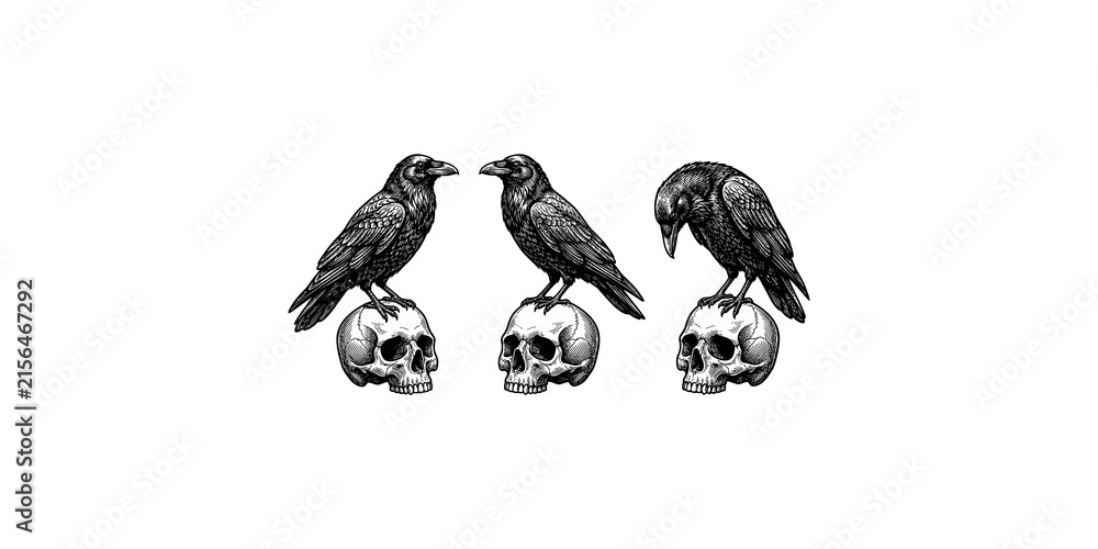 Naklejka premium Three detailed black ravens perched on skulls in gothic illustration style.