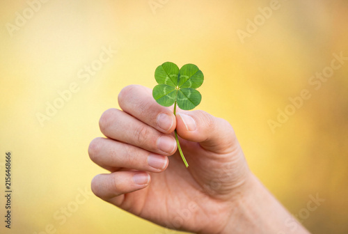 Hand Holding a Four Leaf Clover for Good Luck