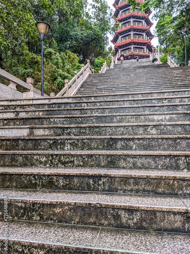 Cuadro en lienzo Stone steps leading to pagoda in lush garden