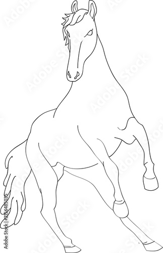 horse vector lineart