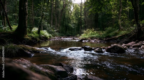 A serene forest stream flows gently over mossy rocks surrounded by tall trees and lush greenery