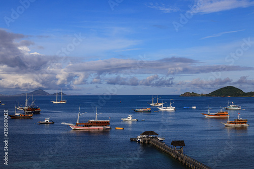 boats in the harbor