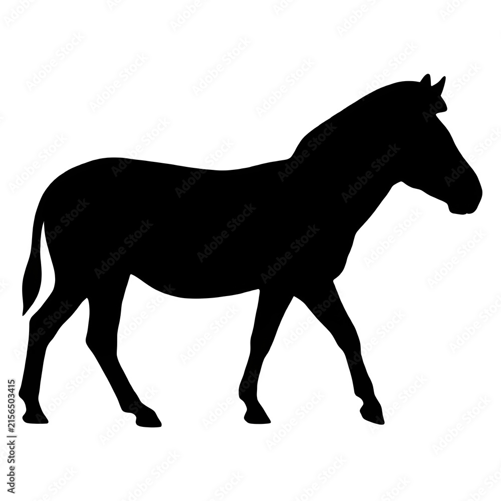 Obraz premium Black Zebra Silhouette Isolated on White Background - African Wildlife Animal Vector Outline, Safari Fauna Icon, and Graphic Design Element