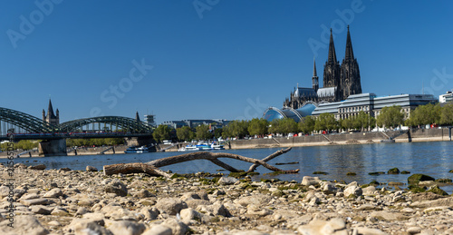 Quadro su tela Photograph of low water levels on the Rhine in Cologne.