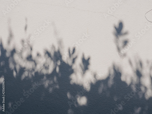 Natural tree leaf shadow overlay on white concrete wall texture, ideal background mockup for product presentation and aesthetic design.