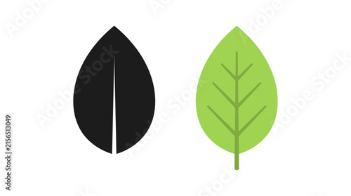 Two leaf shapes one black silhouette and one green illustration
