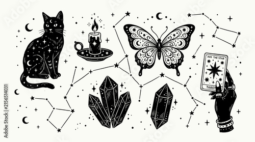 Black cat butterfly crystals and tarot card in a celestial vector illustration