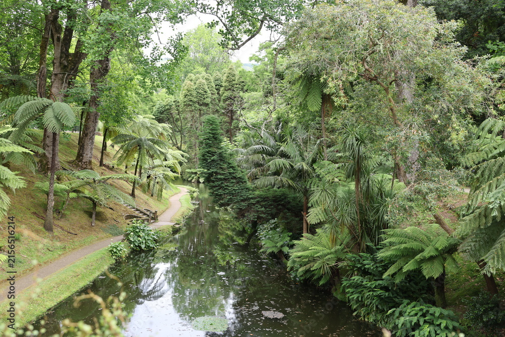 Obraz premium In Terra Nostra Park in Furnas town, Sao Miguel, Azores, Portugal