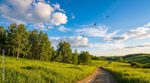 scenic view of a lush green grassy landscape with rolling hills against a clears sky