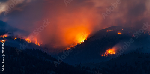 Massive forest fire raging on mountain at night