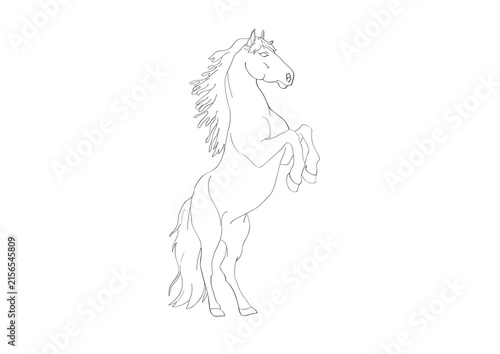horse vector illustration