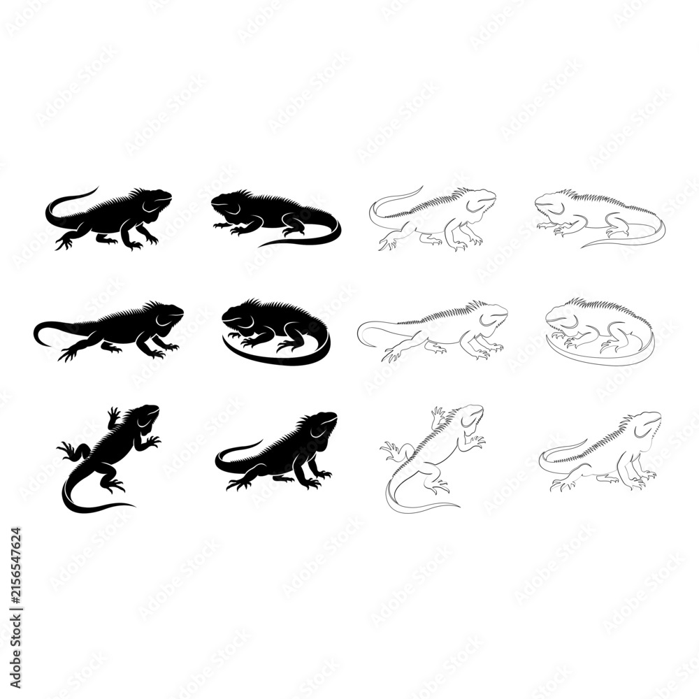 Fototapeta premium Set of Detailed Iguana Silhouettes and Minimalist Outline Vector Illustrations for Reptile and Wildlife Graphic Design Projects