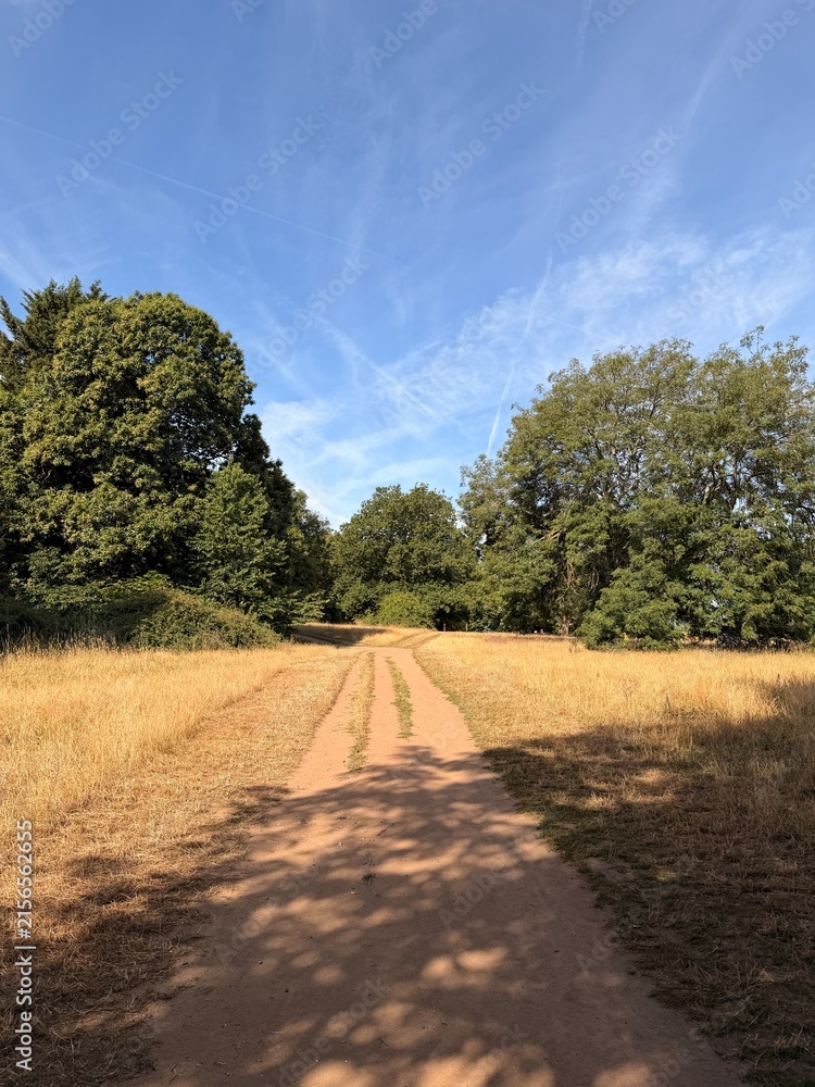 Fototapeta premium Rural dirt path through dry summer grass and green trees in the English countryside