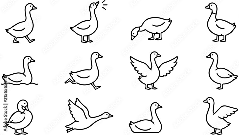 Obraz premium A collection of twelve simple line art icons depicting geese in various natural poses and actions.