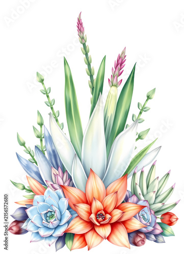 arrangement of vibrant succulent plants
