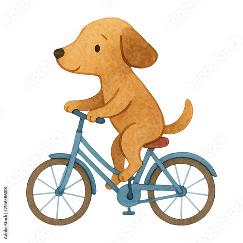 PNG Cute dog riding bicycle