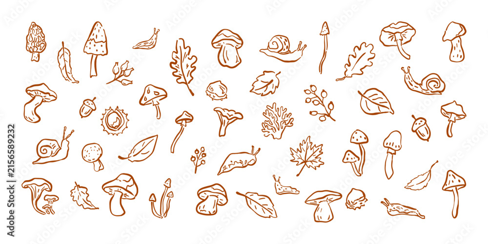Obraz premium Hand drawn autumn forest set with mushrooms, leaves, acorns, snails, slugs and botanical woodland elements in a playful brown line art style.